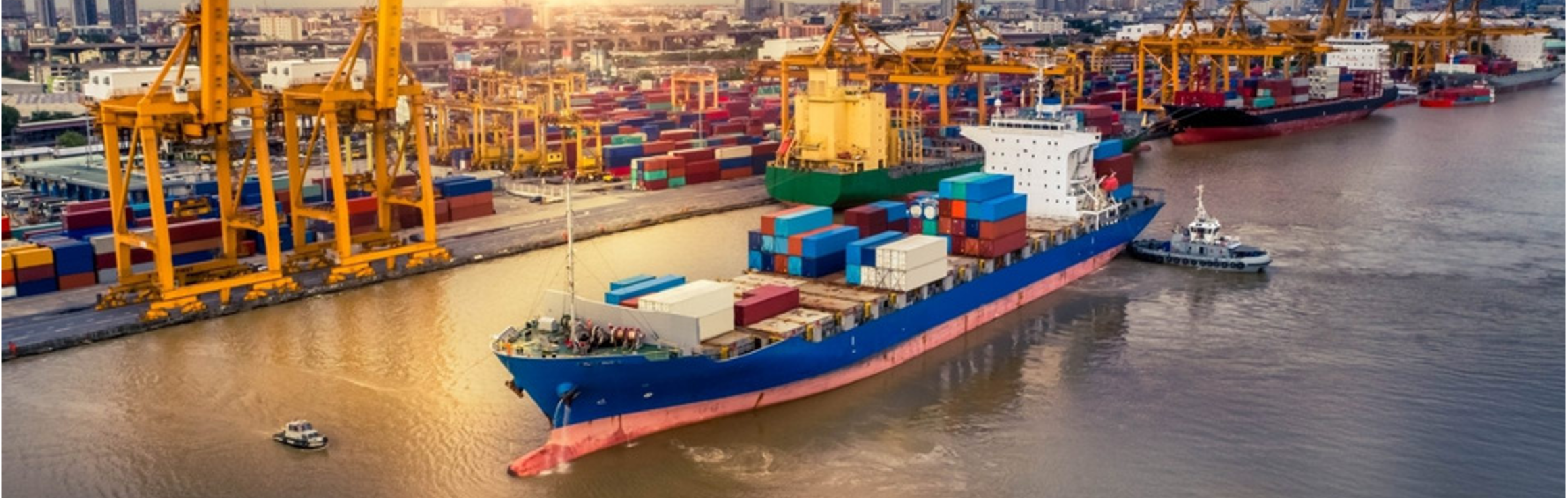 Our FCL services are ideal for businesses with high-volume cargo that requires an entire container